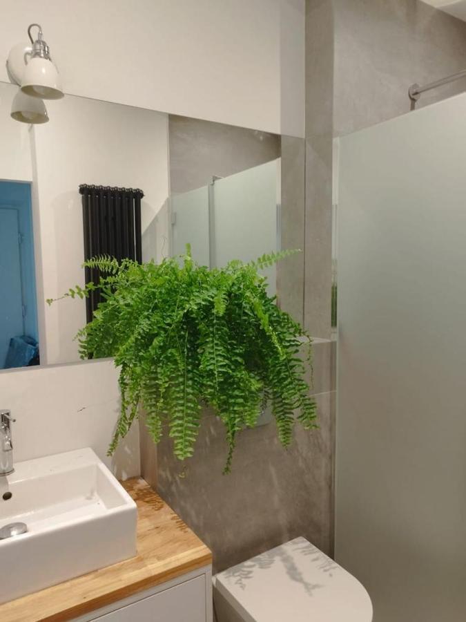 Urban Nest Apartments Brodowicza 14 克拉科夫 外观 照片