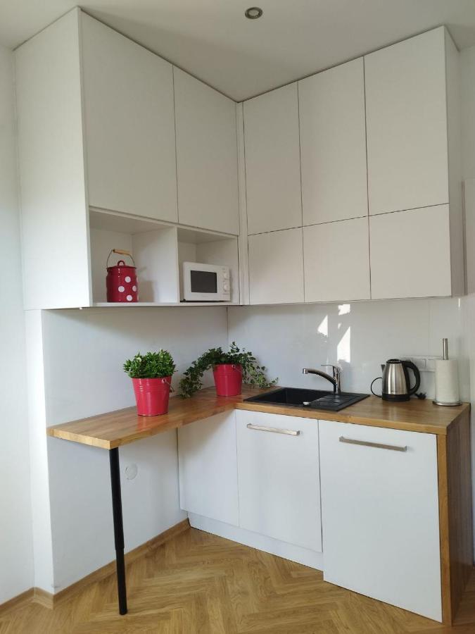 Urban Nest Apartments Brodowicza 14 克拉科夫 外观 照片